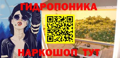 сатива Северобайкальск