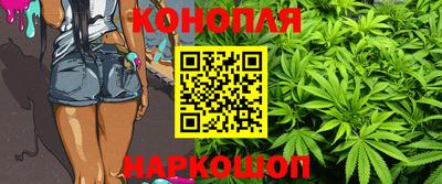 сатива Северобайкальск