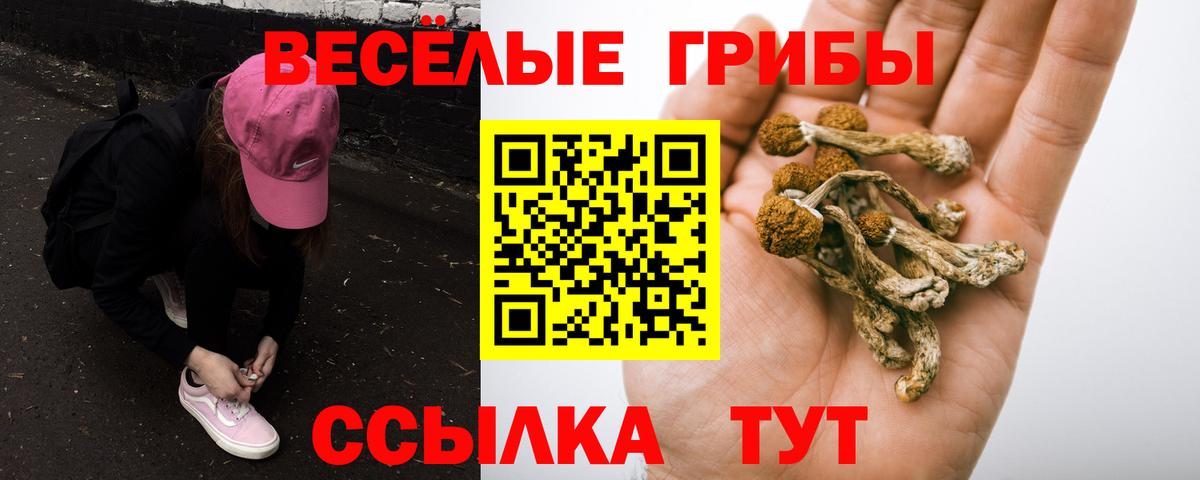 Псилоцибиновые грибы мицелий  Галлюциногенные грибы Psilocybe  Вход с VPN  Новочеркасск 